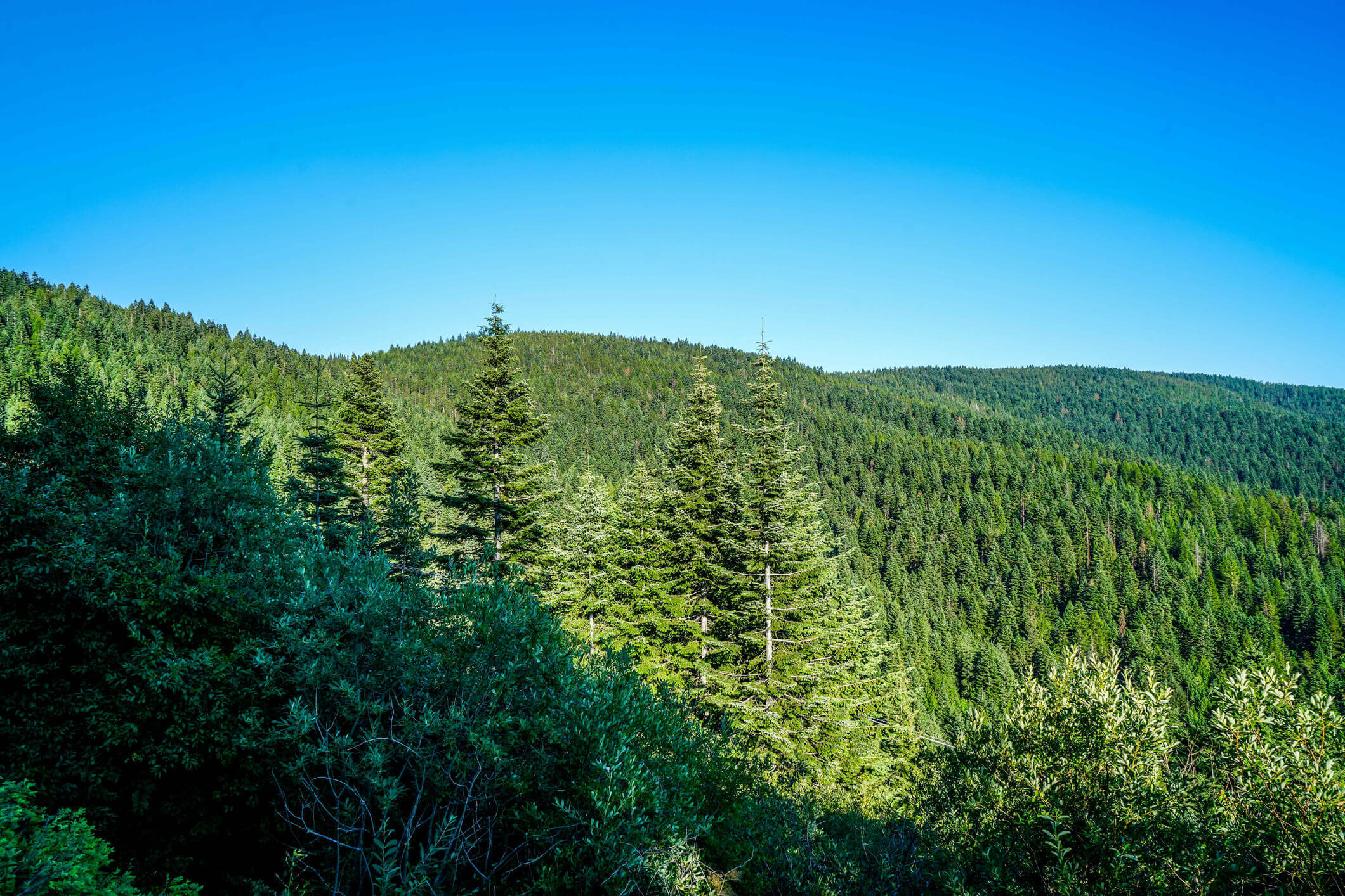 Ask the Prez, No. 41 | Hudson Bay Insulation